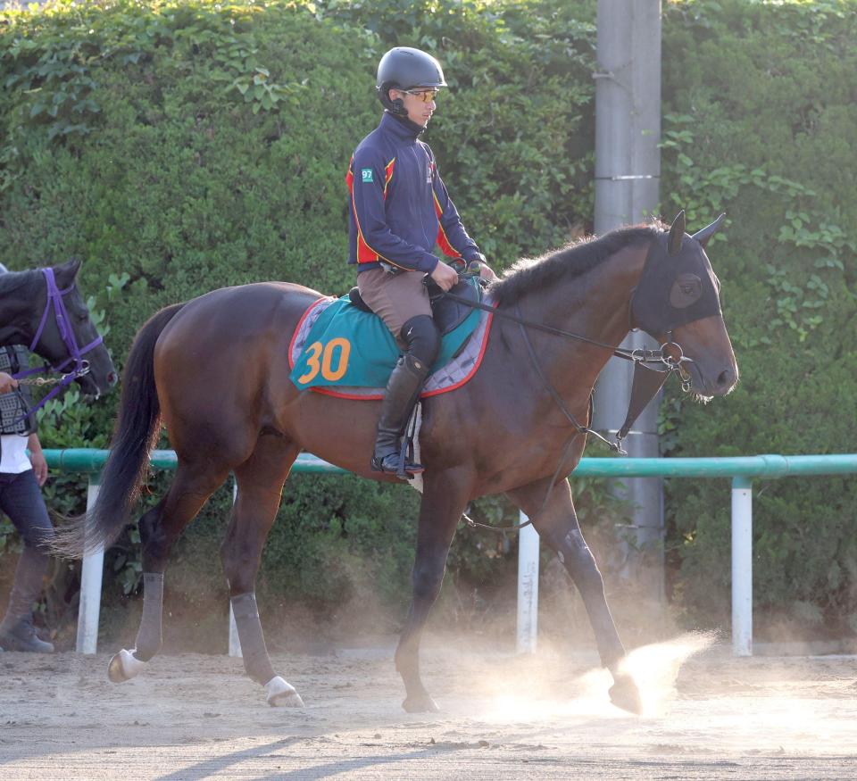 【ＰＯＧ】血統馬プリモシークエンスが１９日に帰厩　デビューはそう遠くなさそう（美浦発）