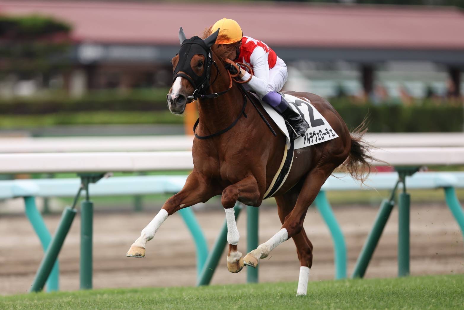 【新馬/札幌5R】武豊騎乗 アルテヴェローチェが人気に応える