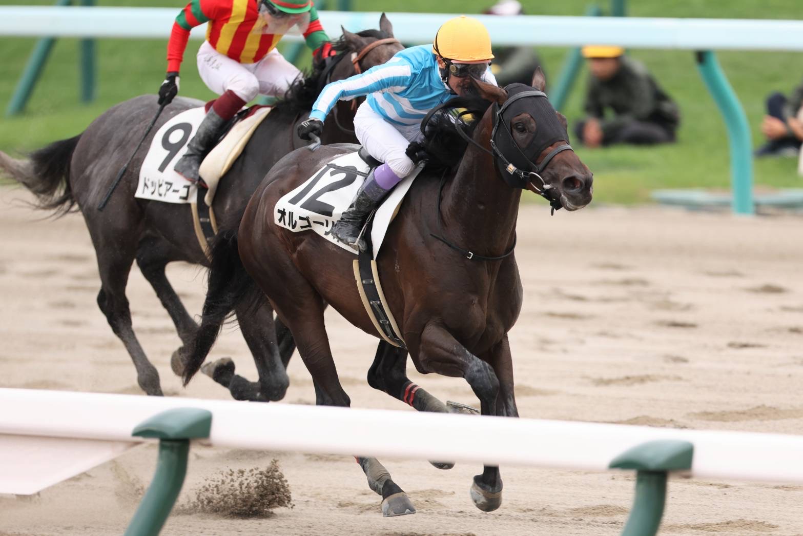 【札幌8R】武豊騎乗 オルゴーリオがデビューから2連勝