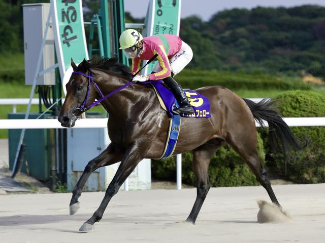 【佐賀・吉野ヶ里記念結果】テイエムフェローが逃げ切り重賞3連勝