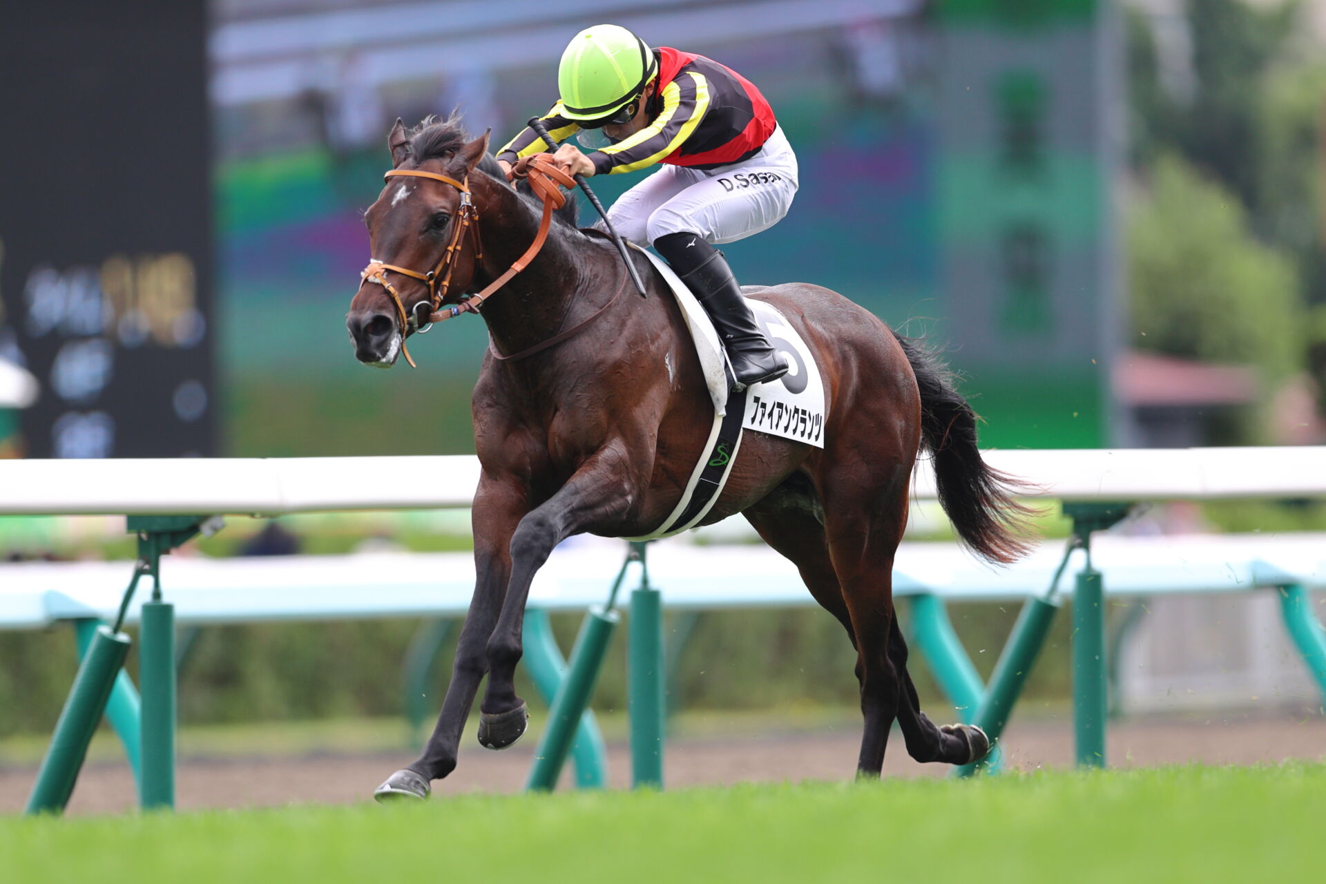 【新馬/札幌5R】佐々木大輔騎手が3連勝…ファイアンクランツが新馬勝ち