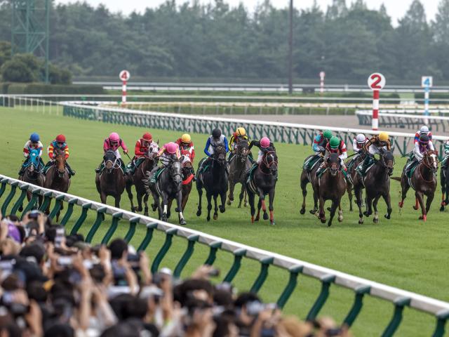 競馬場を離れて温泉やラーメン屋に行く人も!? ファンは“競走休止時間帯”をどう過ごしていた？