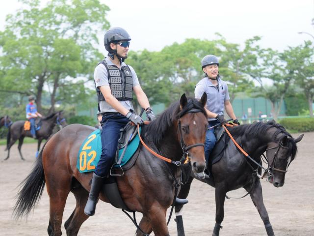 近親には芝・ダート双方の活躍馬多数 武井師も期待よせるジャナドリア/関東馬メイクデビュー情報