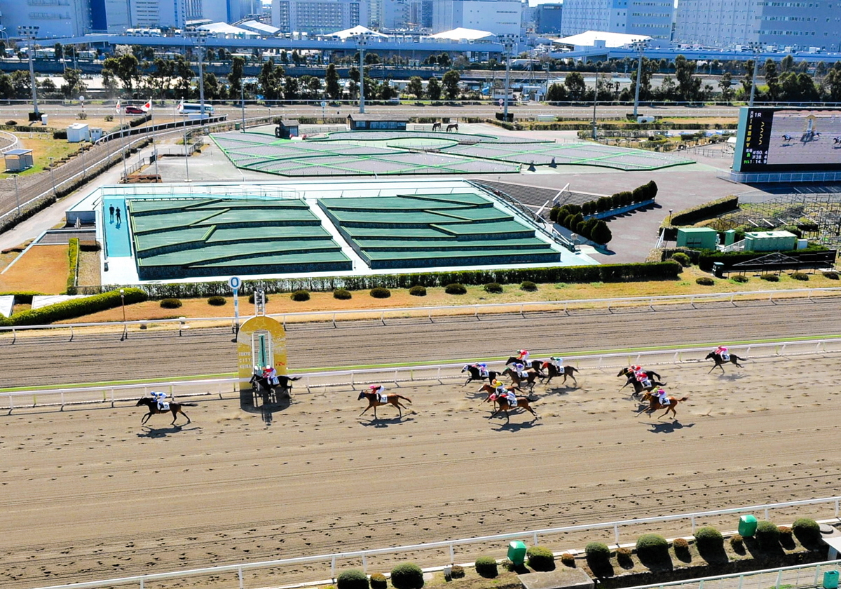 【地方競馬】菅原涼が地方通算１００勝を達成