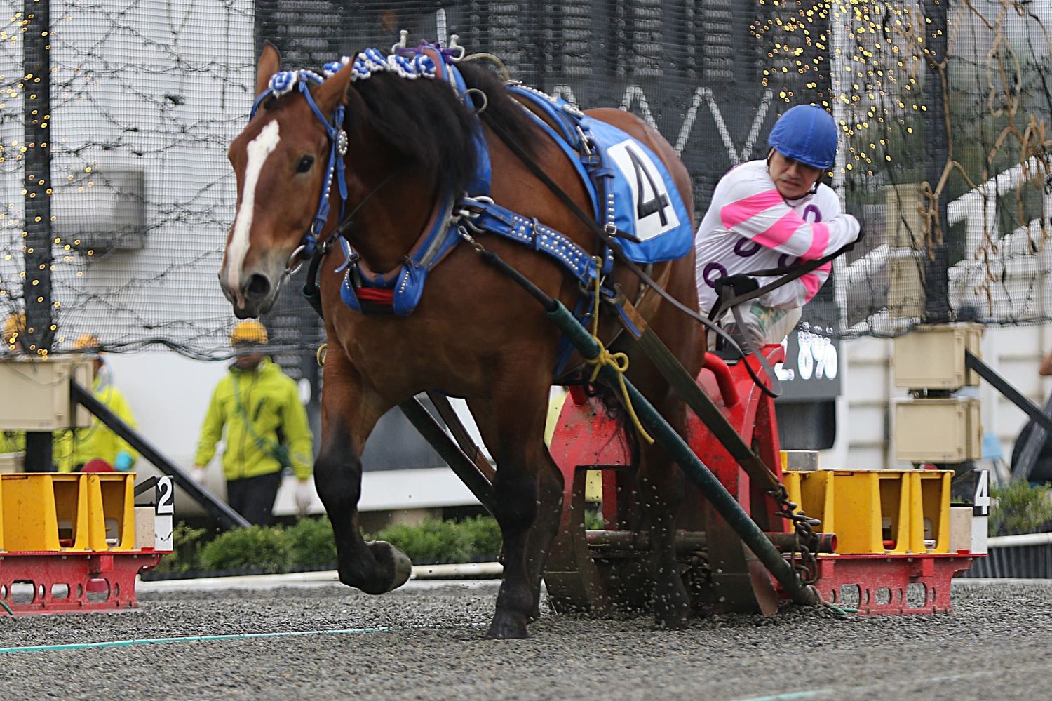 【ばんえい十勝】鈴木恵介騎手が通算3500勝達成…「積み重ねてきた結果」