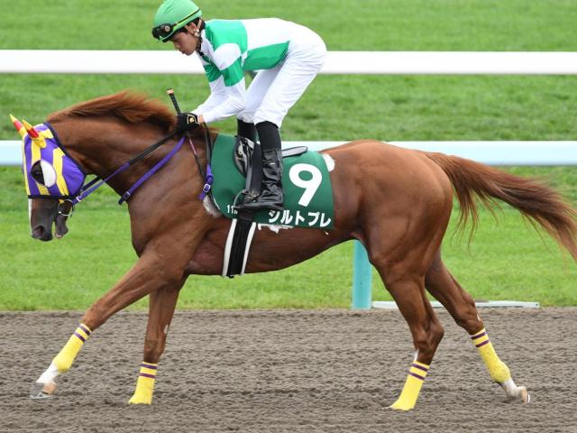 ホッカイドウ競馬からエルムSに2年連続参戦 道営の雄が昨年5着のリベンジなるか