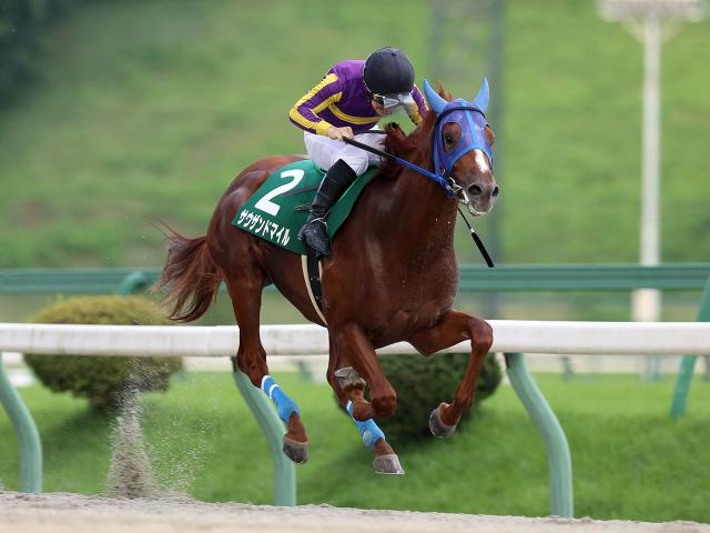 【盛岡・若鮎賞結果】サウザンドマイルが6馬身差の圧勝！重賞初制覇