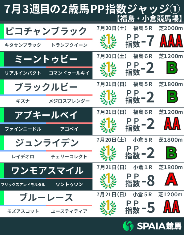 【2歳馬ジャッジ】ナチュラルライズとピコチャンブラックが優秀な内容でAAA　大きな舞台での活躍に期待