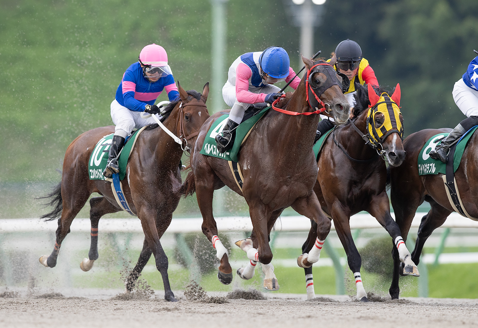 【盛岡・オパールC】ベルベストランナーが快勝…中央未勝利馬が移籍後いきなりV