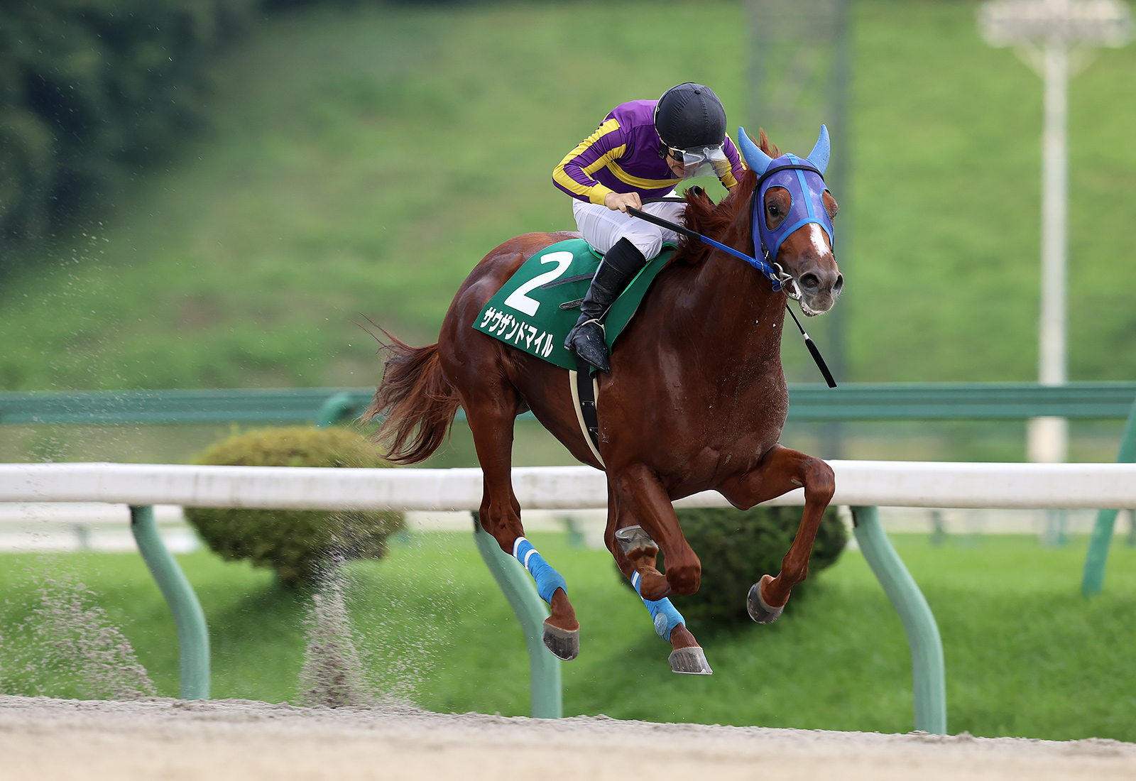 【盛岡・若鮎賞】サウザンドマイルが6馬身差圧勝…山本「ベストの展開に持ち込めた」