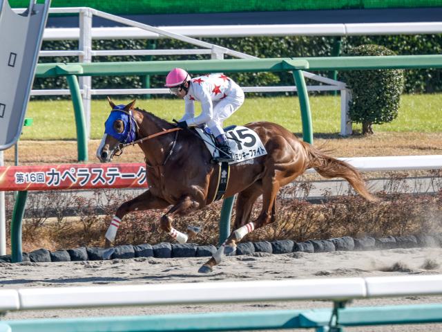 【レパードS出走馬・騎手確定】ミッキーファイト&戸崎圭太騎手、ソニックスター&川田将雅騎手など15頭