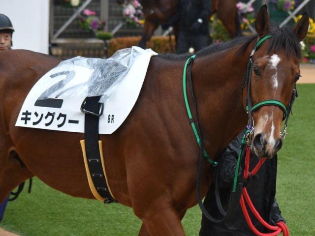 キタサンブラック半弟が初の千直参戦 藤田菜七子騎手を背に1年4カ月ぶりVへ