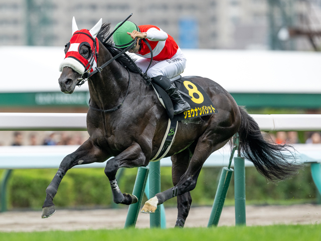 【札幌日経オープン結果】ショウナンバシットが押し切り、約1年5か月ぶりの復活V