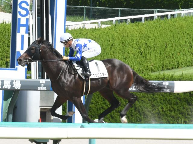 【AI予想・レパードS】波乱傾向の強い3歳限定のダート重賞 本命馬は重賞初挑戦でも能力はヒケ取らず