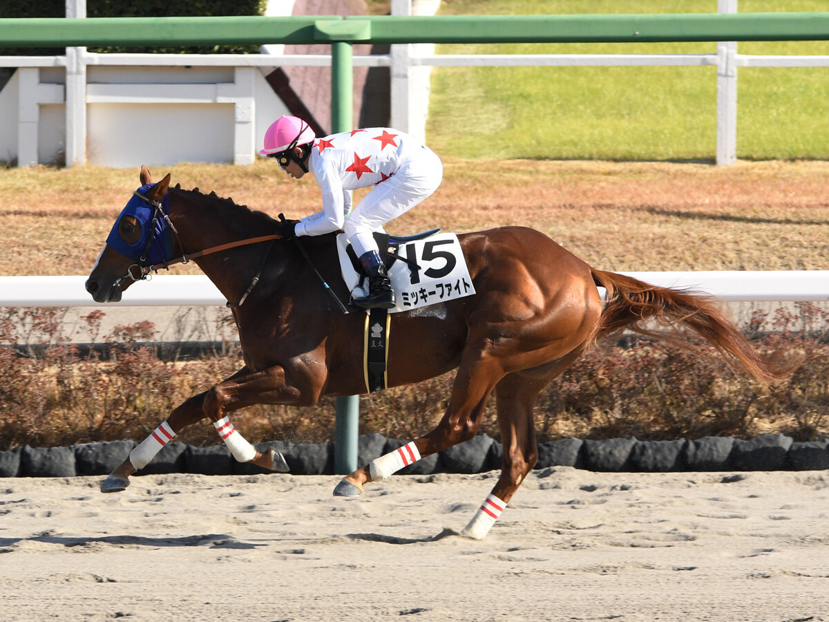 レパードＳで期待度が高い２頭は？　「新潟・ダート1800ｍ」の勝率が高い種牡馬からピックアップ