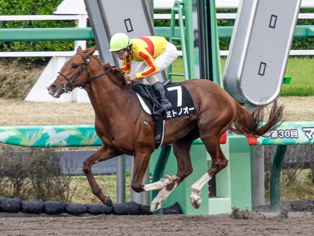 【今日の注目ポイント】札幌でエルムSと新潟でレパードSのダート2重賞