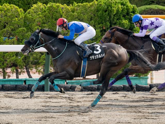 【エルムS予想】真夏のダート王者決定戦 過去10年で7勝誇るマリーンS組が優勢か