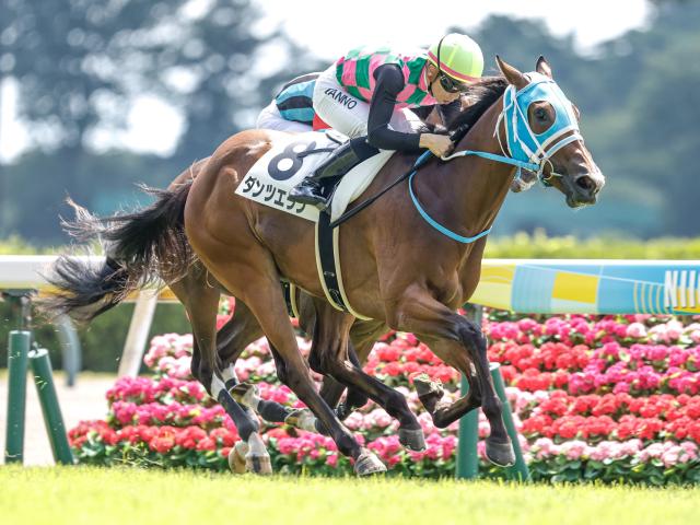 【新潟2R新馬戦結果】ロードカナロア産駒ダンツエランが初陣飾る