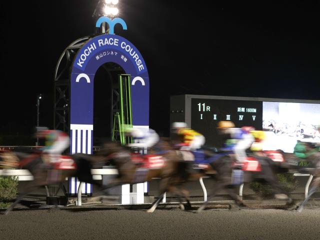 高知競馬が暑熱対策・馬場改修のため1カ月の休催 同期間内に園田で交流競走を実施