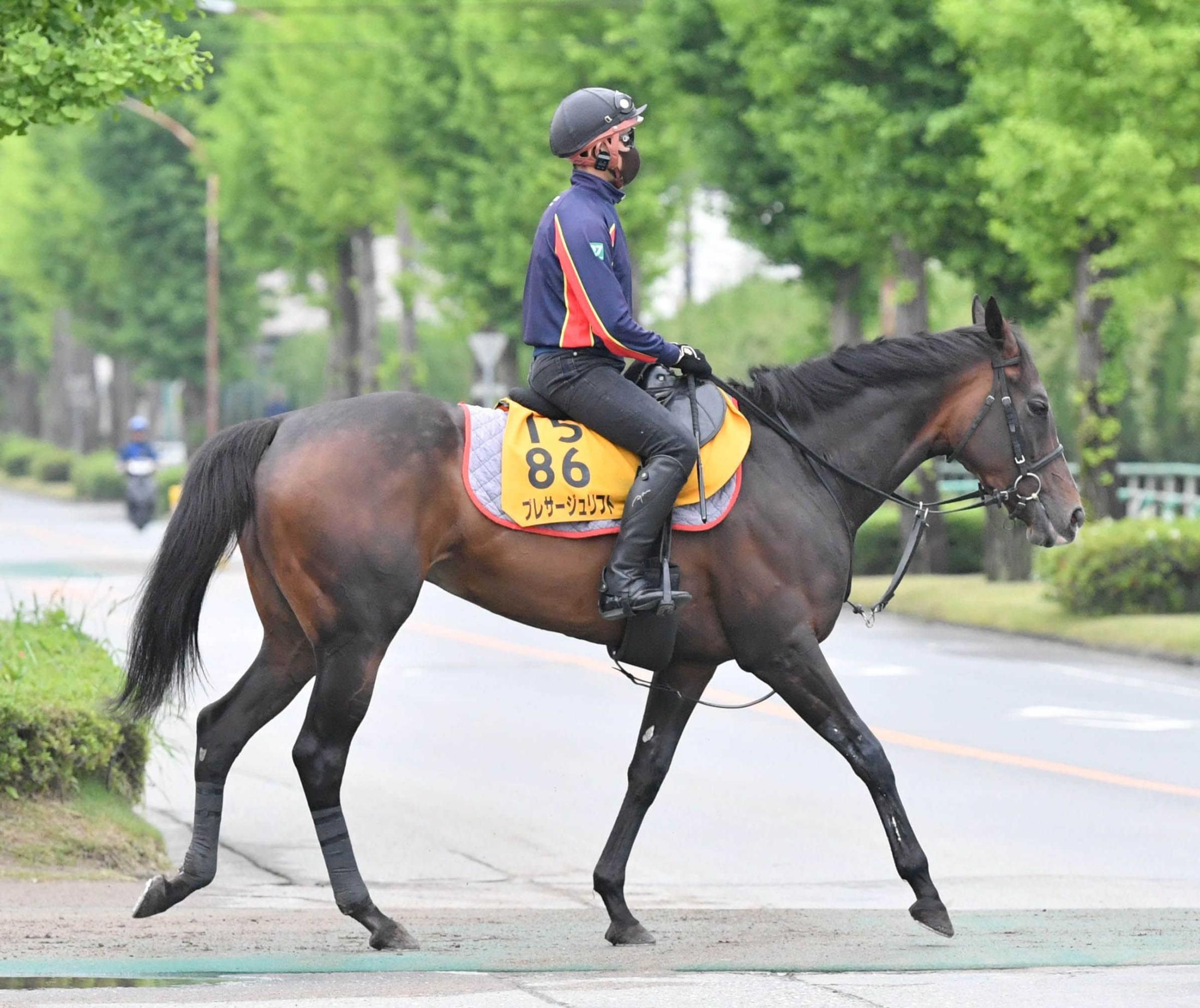 【関屋記念】プレサージュリフト　久々重賞Ｖ狙う　太田助手「脚をためて競馬ができれば」