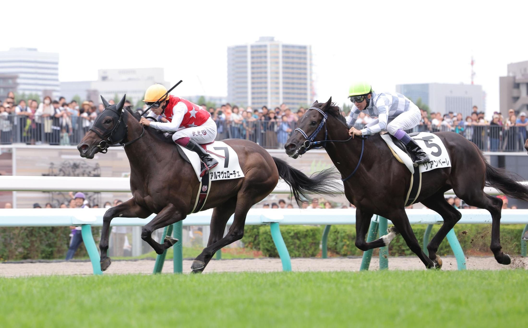 【新馬戦】アルマヴェローチェ　スイスイ逃走　横山武は将来性を評価「これからの馬」