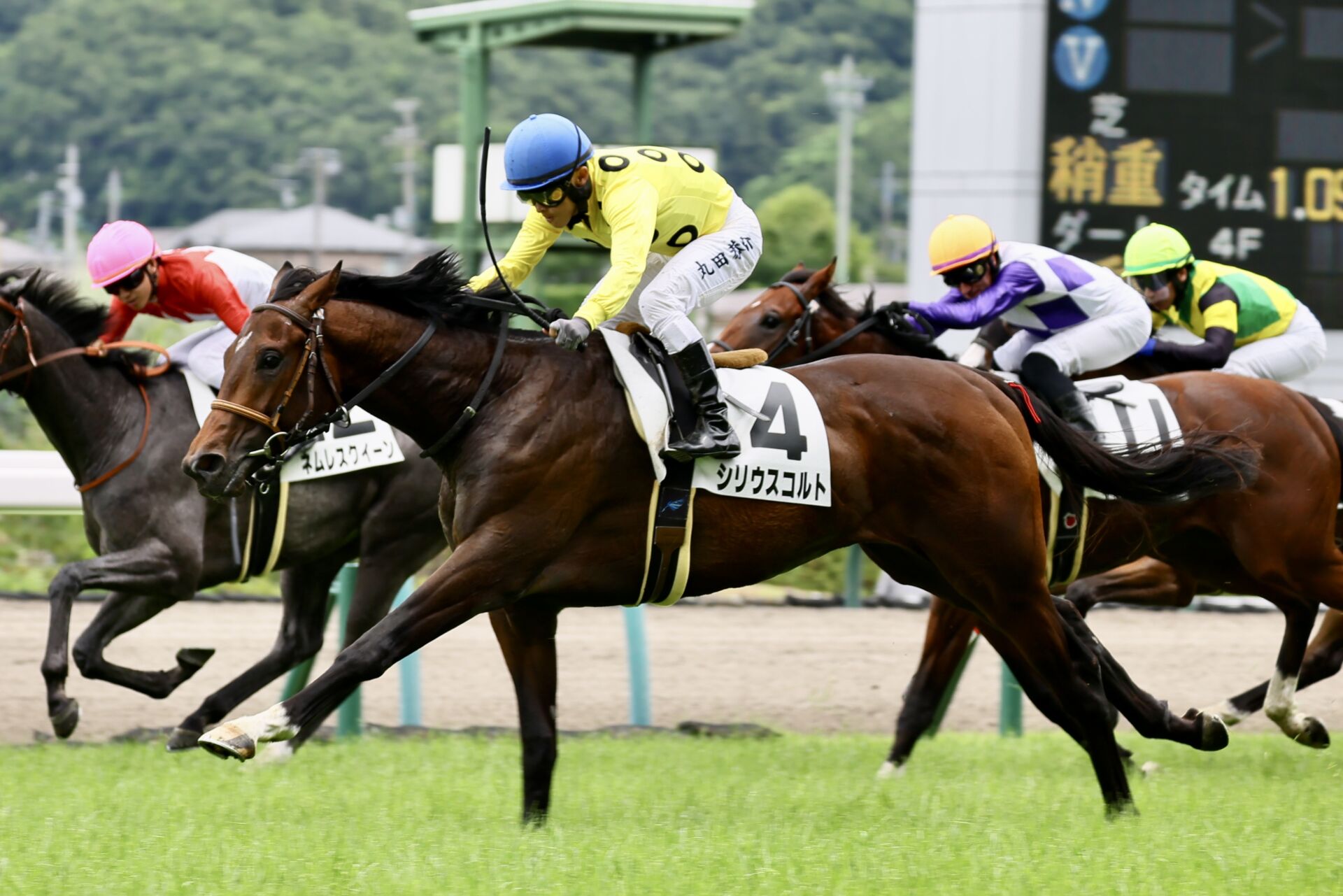 【小倉記念登録馬】シリウスコルトなど13頭