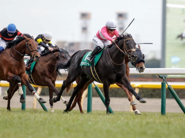 【関屋記念枠順確定】サクラトゥジュールは2枠4番、ディスペランツァは1枠1番