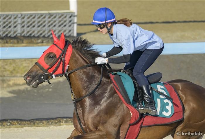 中京開催スタート！開幕週は小倉記念など16鞍に騎乗！【永島まなみの騎乗馬展望】