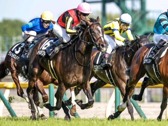 【関屋記念予想】重賞の流れを経験している事が重要 前走の勝利を鵜呑みにできない人気馬とは