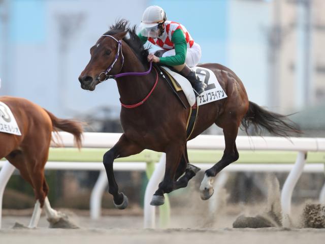 【佐賀競馬】オリンピックと真夏の暑さとともに熱気上昇 混戦ムードの中距離重賞に新たな注目馬