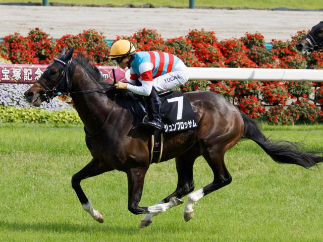 【AI予想・関屋記念】マイルで素質開花か 重賞未勝利もポテンシャルの高さは証明済み