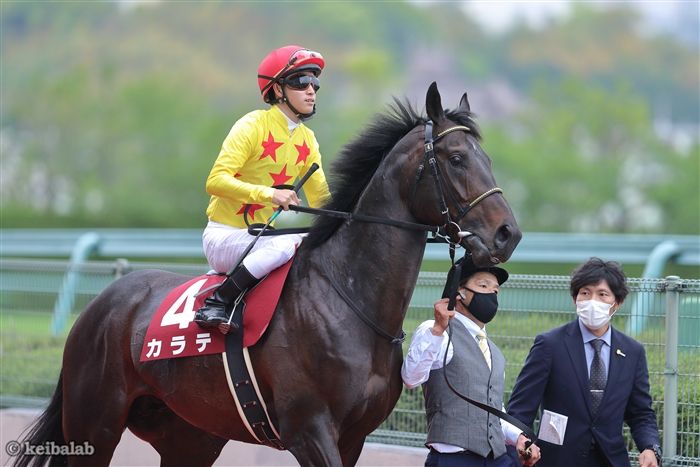 【関屋記念】夏だ、波乱だ、デカ馬だ！馬券率2倍以上も注目薄の爆弾穴