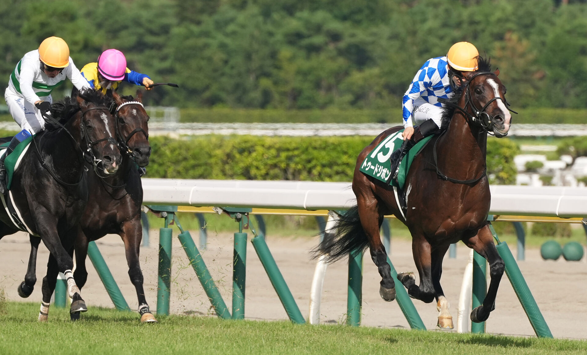 【関屋記念】トゥードジボンが鮮やかな逃げ切り…重賞初制覇（競馬のおはなし） - Yahoo!ニュース