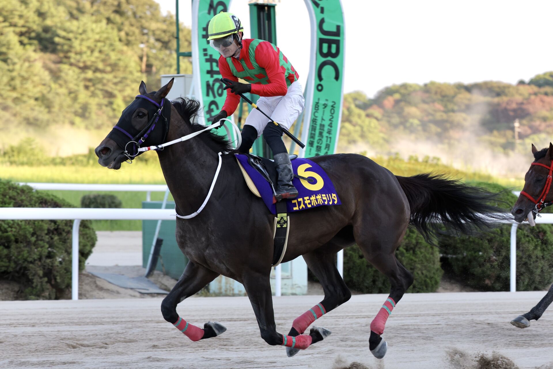 【佐賀・九州チャンピオンシップ】コスモポポラリタが佐賀重賞初勝利…石川将「今日は金メダル取れて良かった」