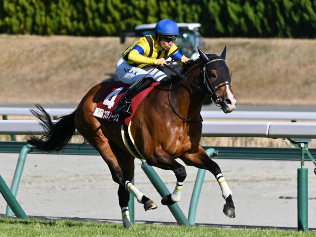 札幌で札幌記念と中京でCBC賞/今週の競馬界の見どころ