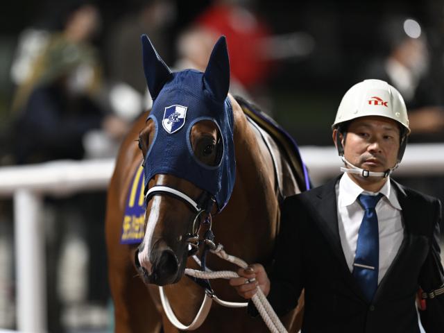 【大井・黒潮盃枠順】無傷6連勝中のダテノショウグンは7枠10番