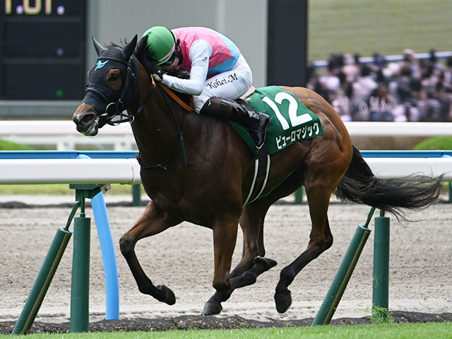 【CBC賞想定騎手】ピューロマジックは横山和生騎手、アグリは西村淳也騎手