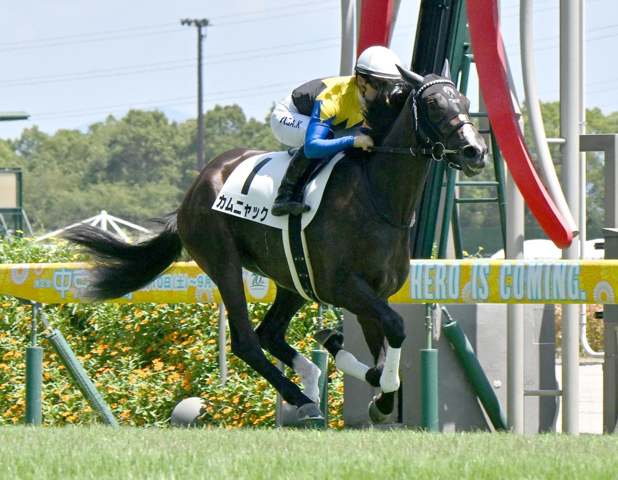 【新馬戦】カムニャック　ノーステッキのまま３馬身半差初陣Ｖ　文句なしの快勝劇に川田高評価「追い切りから素質の高さ感じた」