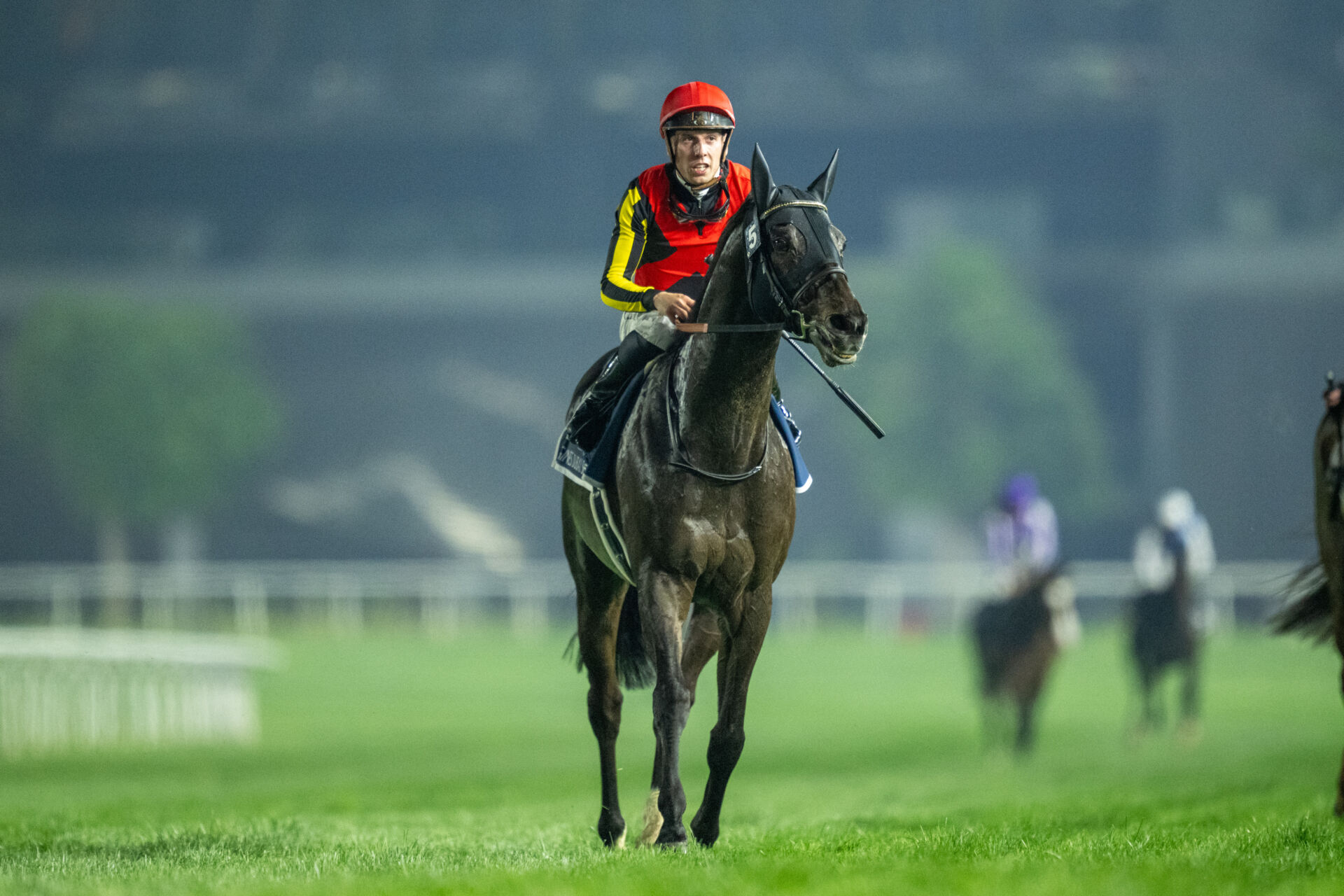 【札幌記念登録馬】シャフリヤールなど12頭