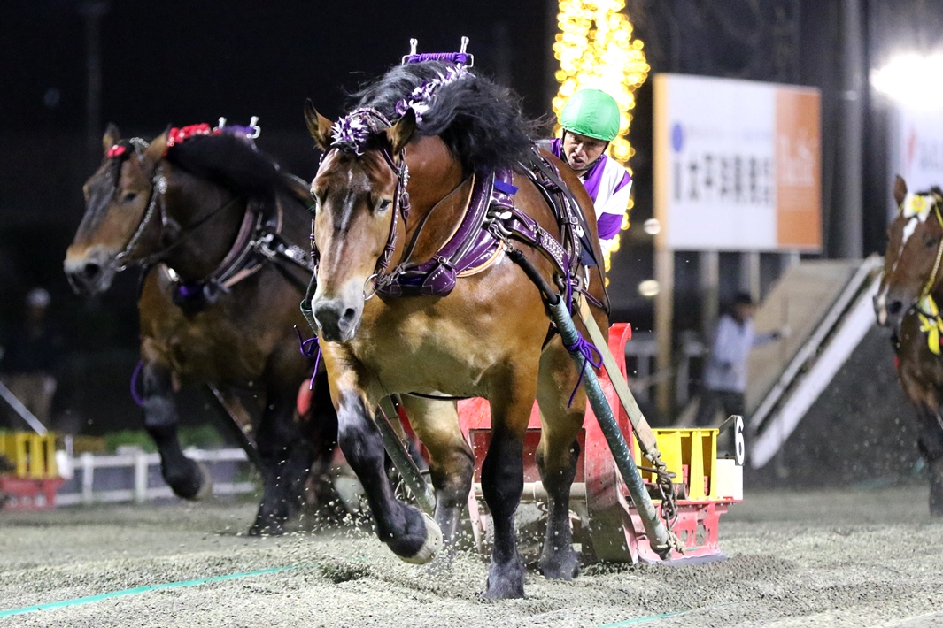 【ばんえいグランプリ】メムロボブサップが4連覇…阿部「勝ててホッとしています」