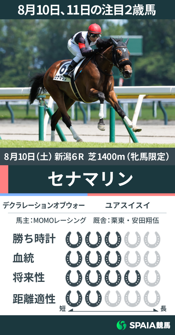 【注目2歳馬】好フットワークで4馬身差の快勝　デクラレーションオブウォー産駒セナマリン