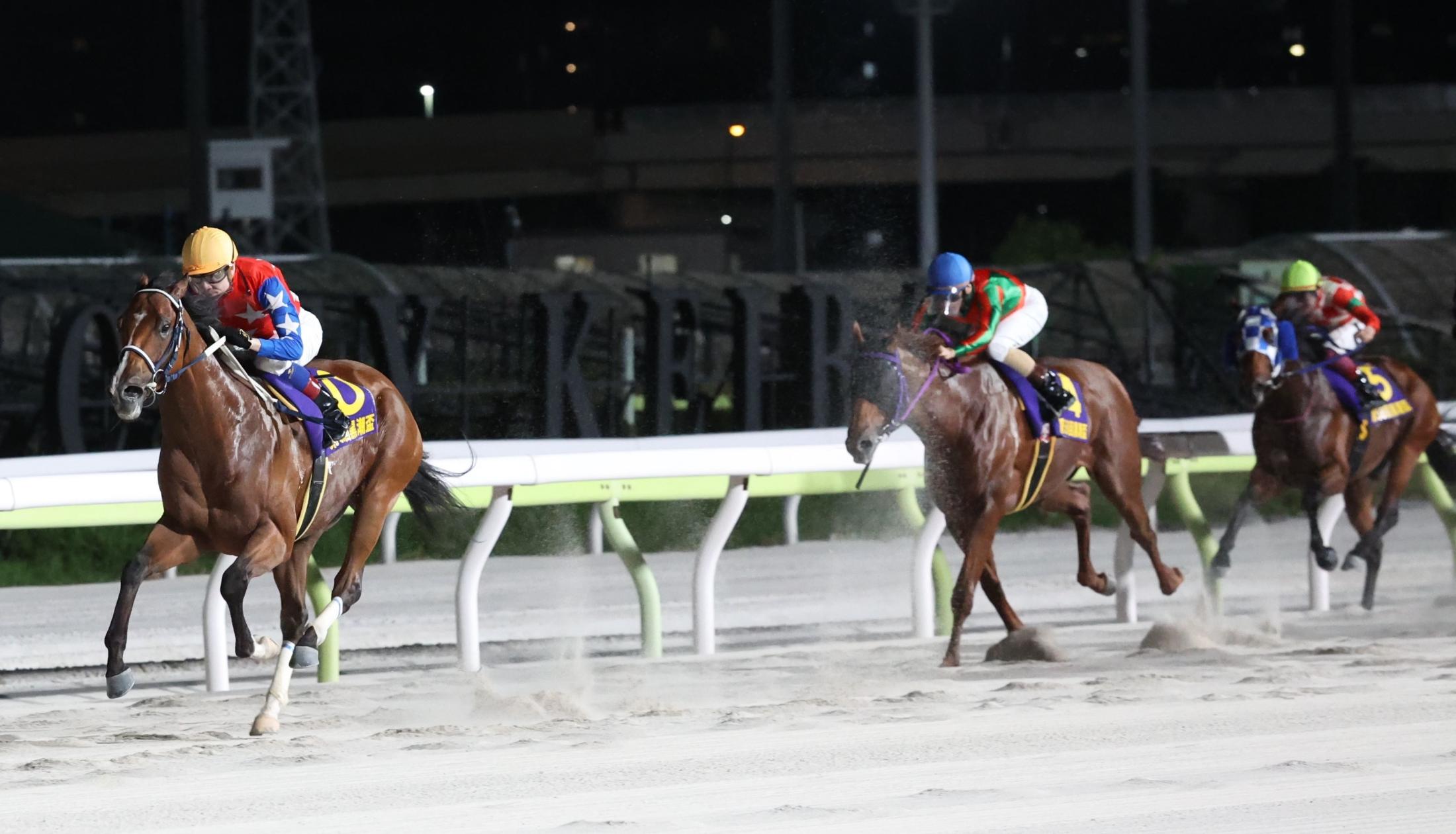 【地方競馬】ダテノショウグンが無傷７連勝で重賞２勝目　次はＪＲＡ勢撃破だ！