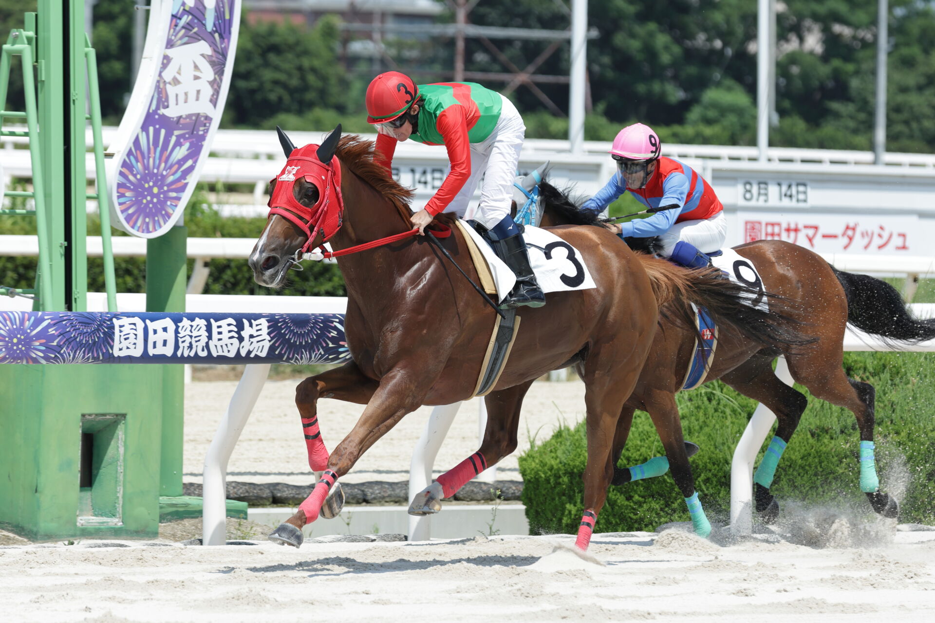 【園田・姫路競馬】小牧太騎手が20年ぶり兵庫競馬復帰…復帰初戦を快勝