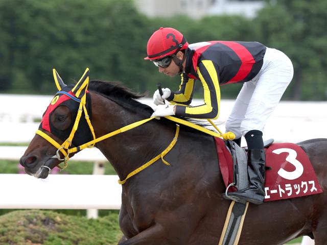 【門別・北海道SC注目馬】今年から3歳限定戦にリニューアル 秋以降飛躍誓う短距離王候補が覇を競う