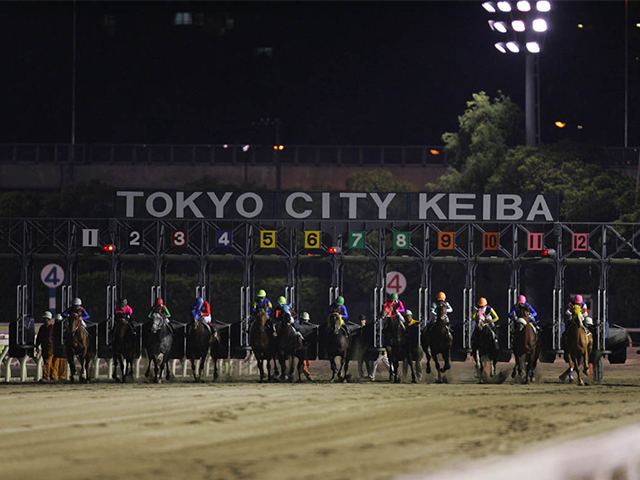 16日の大井競馬は台風接近で開催取りやめ 17日に無観客での代替競馬