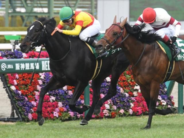 【CBC賞出走馬・騎手確定】アグリ&西村淳也騎手、スズハローム&鮫島克駿騎手など18頭