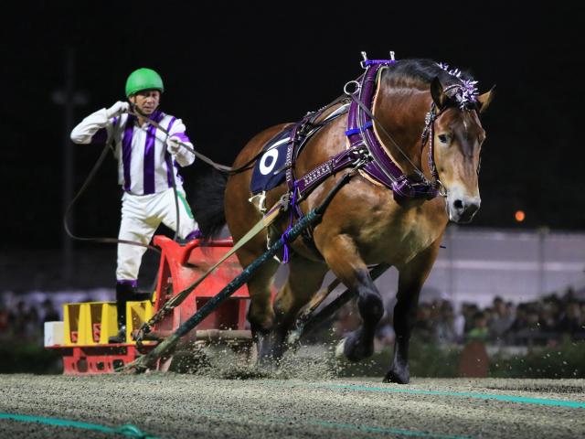 霜降り明星・粗品にも台風7号の影響 帯広競馬場でのイベントが中止に