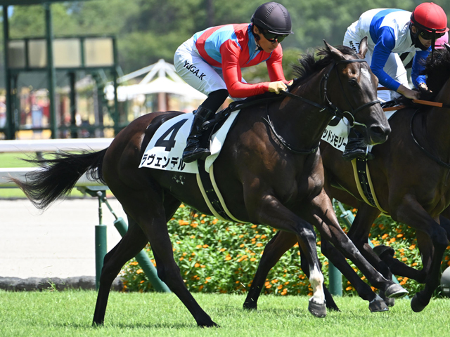 【中京5R新馬戦結果】キンシャサノキセキ産駒ラヴェンデルが初陣飾る