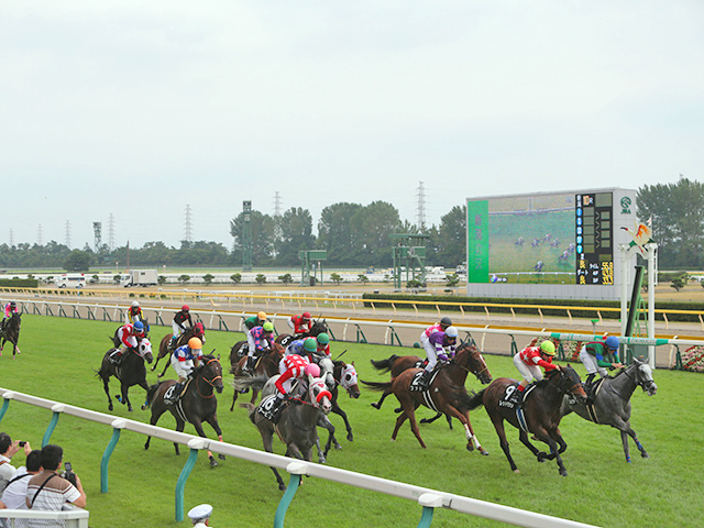 【新潟5R新馬戦結果】トワーリングキャンディ産駒エコロジークが断然人気に応え5馬身差V