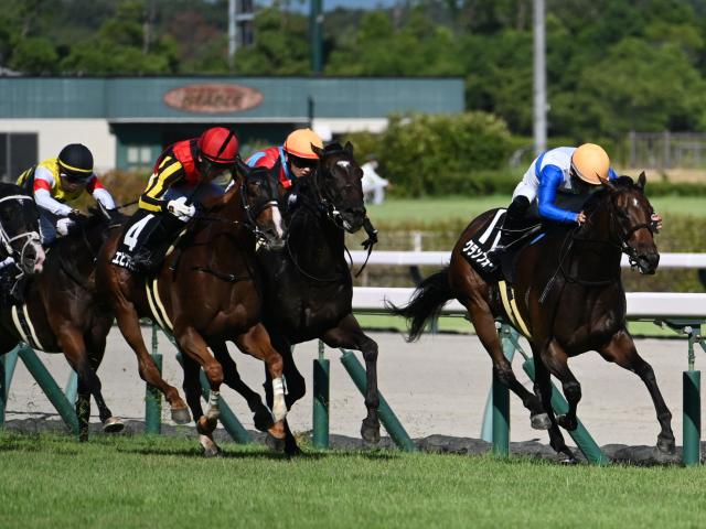 【豊明S結果】クランフォードが日本レコードタイで3連勝